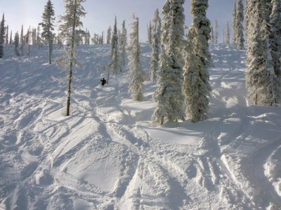 Steep and deep snow at Blacktail